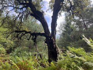 Specialist lender completes £5m portfolio refinance