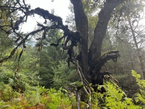 House costs pushing key workers out of London