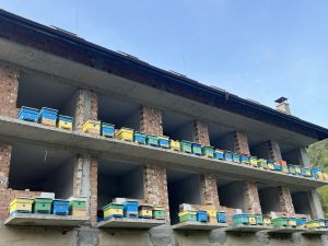 Китай успешно изстреля нови тестови сателити