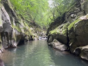 Китай ще пусне първия национален стандарт за EV твърдотелни батерии през юли · TechNode