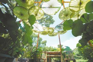 EPC reform not happening until Autumn 2027