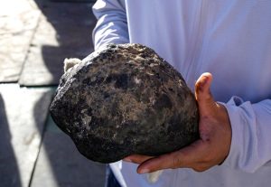 Tenant confusion over Renters’ Rights Act creates challenges