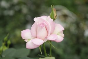 Шанхай си поставя цел за растеж на БВП за 2026 г. от около 5%