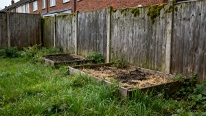 Tenant deposit adjudication awards £150 for garden neglect